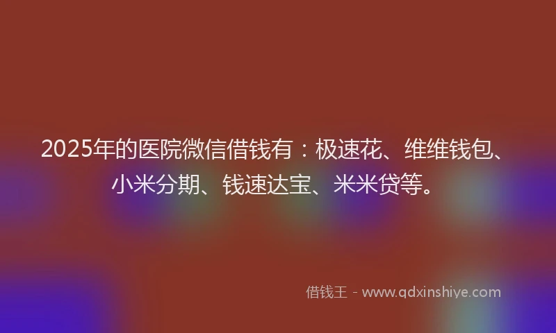 2025年的医院微信借钱有：极速花、维维钱包、小米分期、钱速达宝、米米贷等。