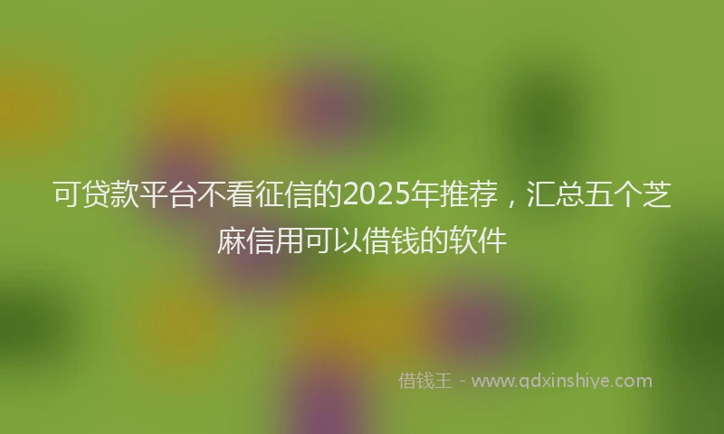 可贷款平台不看征信的2025年推荐，汇总五个芝麻信用可以借钱的软件