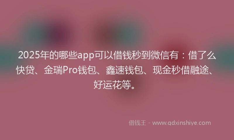 2025年的哪些app可以借钱秒到微信有：借了么快贷、金瑞Pro钱包、鑫速钱包、现金秒借融途、好运花等。