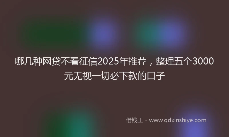 哪几种网贷不看征信2025年推荐，整理五个3000元无视一切必下款的口子