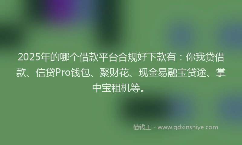 2025年的哪个借款平台合规好下款有：你我贷借款、信贷Pro钱包、聚财花、现金易融宝贷途、掌中宝租机等。