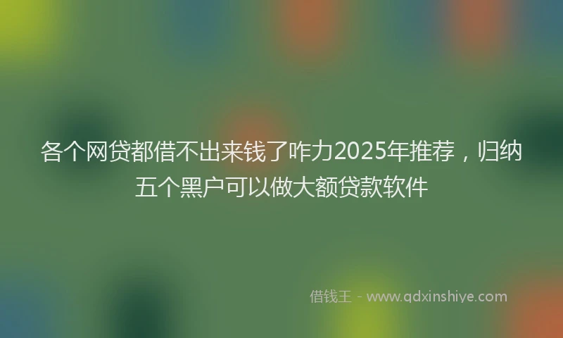 各个网贷都借不出来钱了咋力2025年推荐，归纳五个黑户可以做大额贷款软件