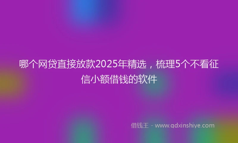 哪个网贷直接放款2025年精选，梳理5个不看征信小额借钱的软件