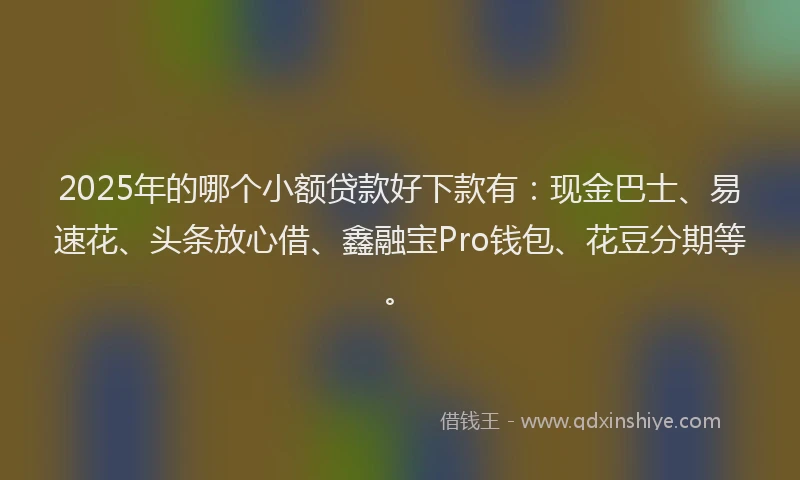 2025年的哪个小额贷款好下款有：现金巴士、易速花、头条放心借、鑫融宝Pro钱包、花豆分期等。