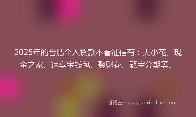 2025年的合肥个人贷款不看征信有：天小花、现金之家、速享宝钱包、聚财花、甄宝分期等。