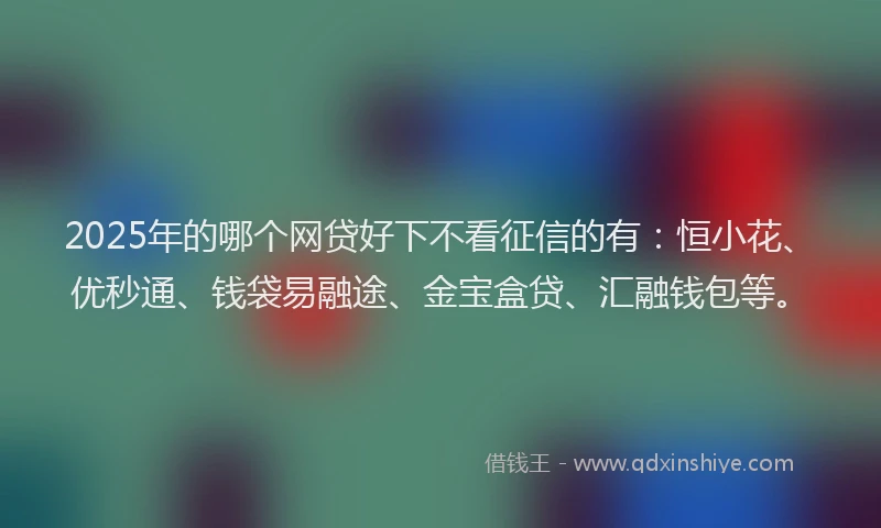 2025年的哪个网贷好下不看征信的有：恒小花、优秒通、钱袋易融途、金宝盒贷、汇融钱包等。