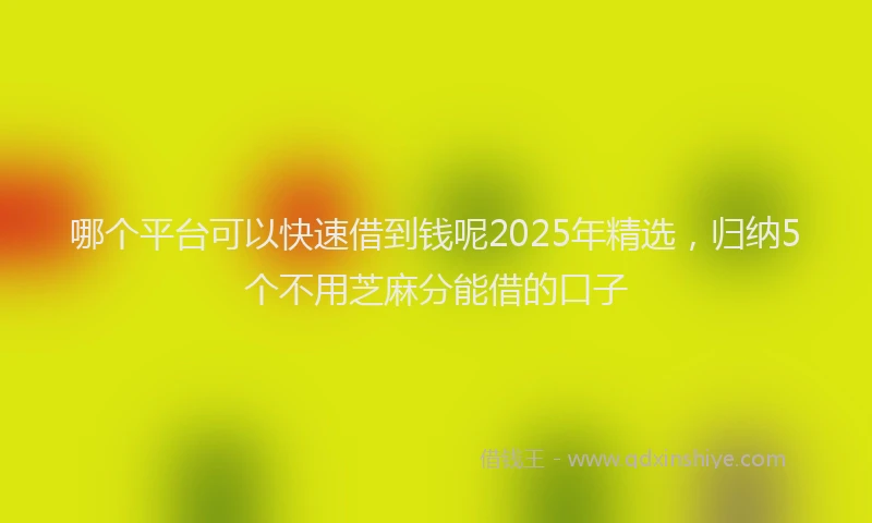 哪个平台可以快速借到钱呢2025年精选，归纳5个不用芝麻分能借的口子