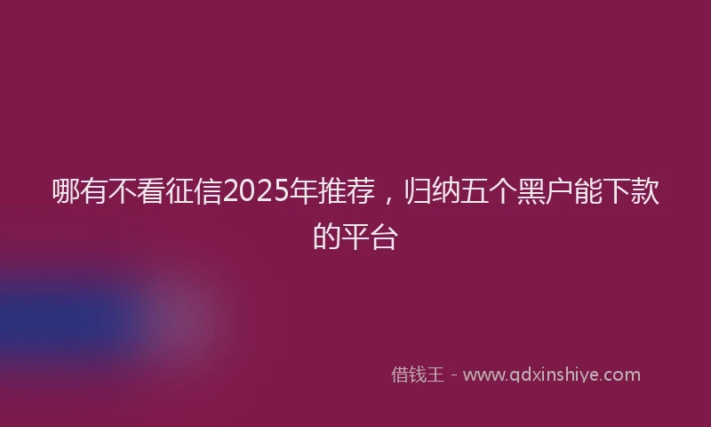 哪有不看征信2025年推荐，归纳五个黑户能下款的平台