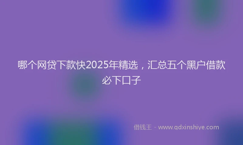 哪个网贷下款快2025年精选，汇总五个黑户借款必下口子