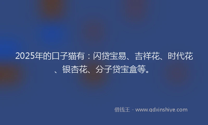 2025年的口子猫有：闪贷宝易、吉祥花、时代花、银杏花、分子贷宝盒等。