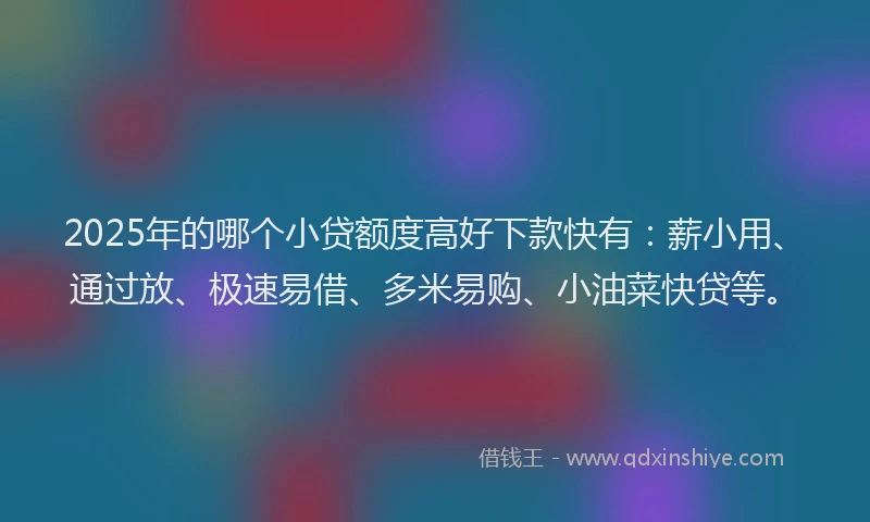 2025年的哪个小贷额度高好下款快有：薪小用、通过放、极速易借、多米易购、小油菜快贷等。