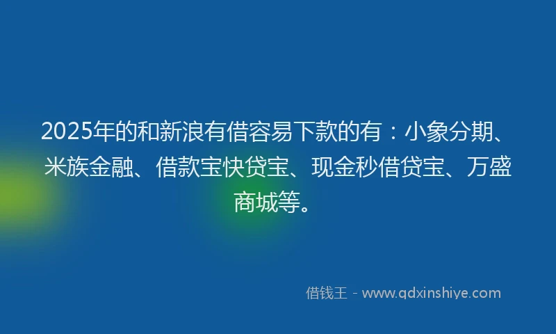 2025年的和新浪有借容易下款的有：小象分期、米族金融、借款宝快贷宝、现金秒借贷宝、万盛商城等。