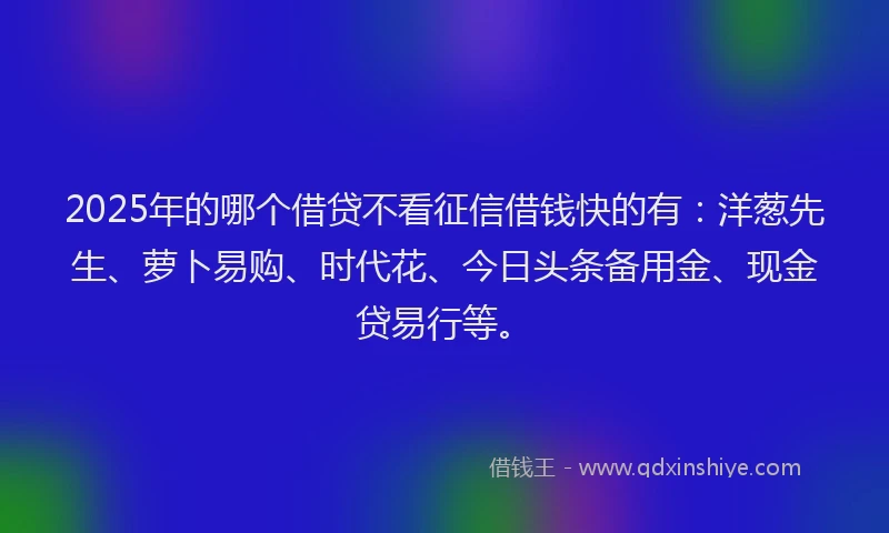 2025年的哪个借贷不看征信借钱快的有：洋葱先生、萝卜易购、时代花、今日头条备用金、现金贷易行等。