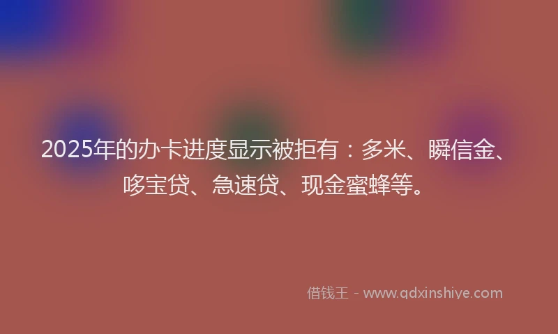 2025年的办卡进度显示被拒有：多米、瞬信金、哆宝贷、急速贷、现金蜜蜂等。