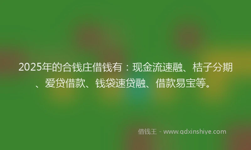 2025年的合钱庄借钱有：现金流速融、桔子分期、爱贷借款、钱袋速贷融、借款易宝等。
