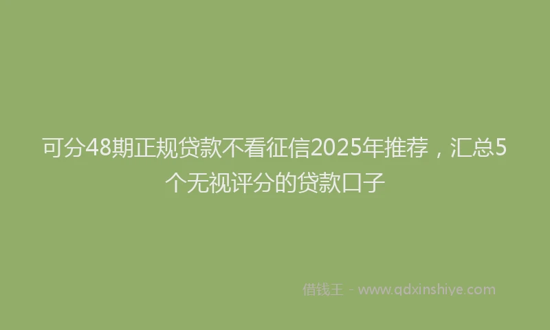 可分48期正规贷款不看征信2025年推荐，汇总5个无视评分的贷款口子