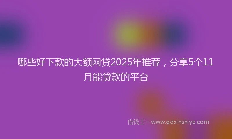 哪些好下款的大额网贷2025年推荐，分享5个11月能贷款的平台