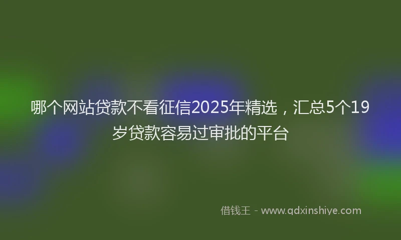 哪个网站贷款不看征信2025年精选，汇总5个19岁贷款容易过审批的平台