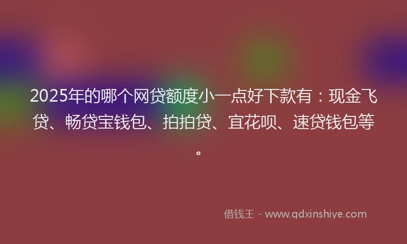 2025年的哪个网贷额度小一点好下款有：现金飞贷、畅贷宝钱包、拍拍贷、宜花呗、速贷钱包等。