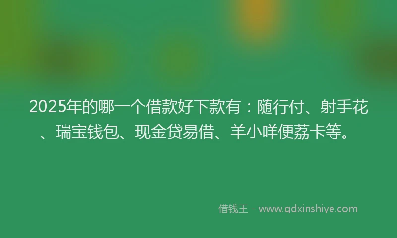 2025年的哪一个借款好下款有：随行付、射手花、瑞宝钱包、现金贷易借、羊小咩便荔卡等。