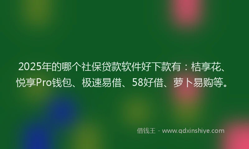 2025年的哪个社保贷款软件好下款有：桔享花、悦享Pro钱包、极速易借、58好借、萝卜易购等。