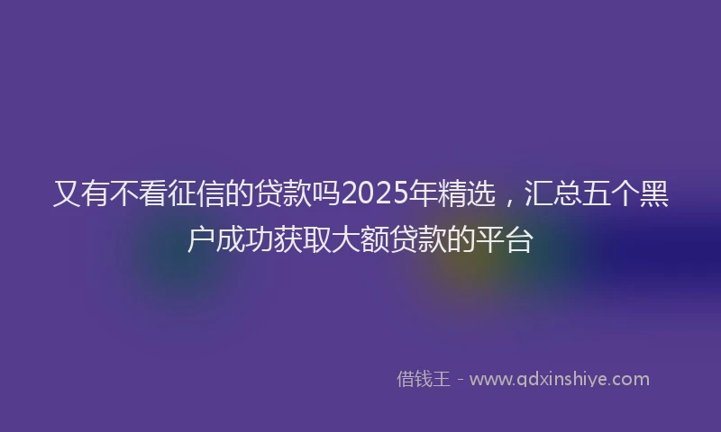 又有不看征信的贷款吗2025年精选，汇总五个黑户成功获取大额贷款的平台