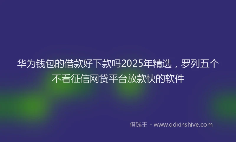 华为钱包的借款好下款吗2025年精选，罗列五个不看征信网贷平台放款快的软件