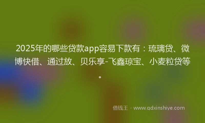 2025年的哪些贷款app容易下款有：琉璃贷、微博快借、通过放、贝乐享-飞鑫琼宝、小麦粒贷等。
