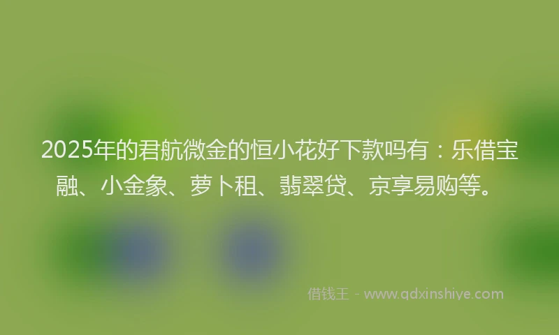 2025年的君航微金的恒小花好下款吗有：乐借宝融、小金象、萝卜租、翡翠贷、京享易购等。