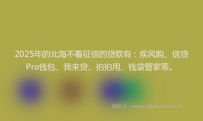 2025年的北海不看征信的贷款有：疾风购、信贷Pro钱包、我来贷、拍拍用、钱袋管家等。