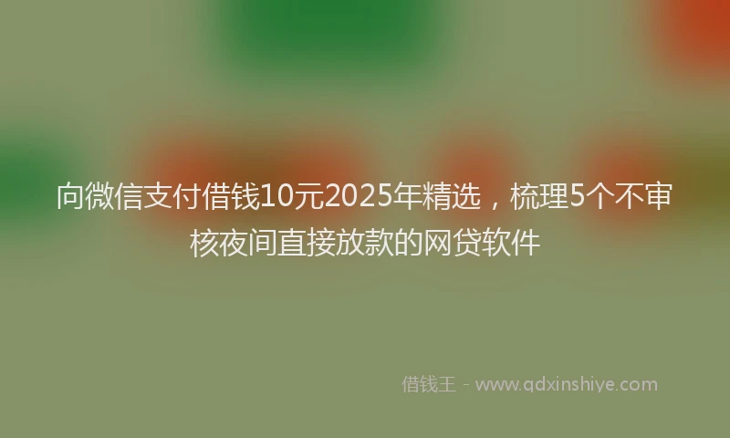 向微信支付借钱10元2025年精选，梳理5个不审核夜间直接放款的网贷软件