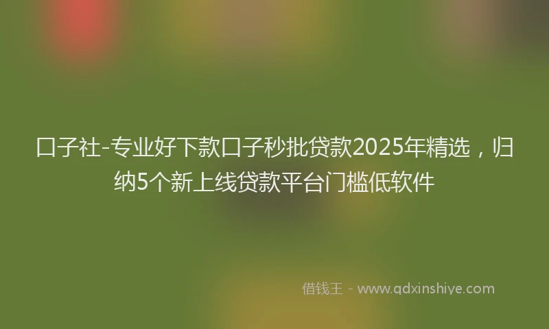 口子社-专业好下款口子秒批贷款2025年精选，归纳5个新上线贷款平台门槛低软件