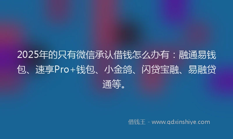 2025年的只有微信承认借钱怎么办有：融通易钱包、速享Pro+钱包、小金鸽、闪贷宝融、易融贷通等。