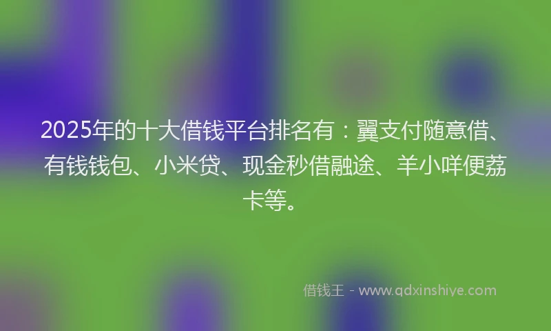 2025年的十大借钱平台排名有：翼支付随意借、有钱钱包、小米贷、现金秒借融途、羊小咩便荔卡等。