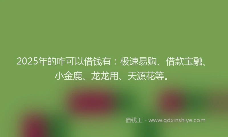 2025年的咋可以借钱有：极速易购、借款宝融、小金鹿、龙龙用、天源花等。