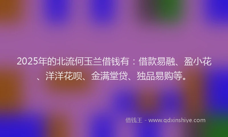 2025年的北流何玉兰借钱有：借款易融、盈小花、洋洋花呗、金满堂贷、独品易购等。
