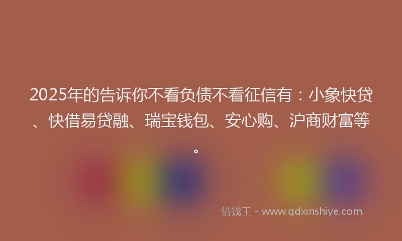 2025年的告诉你不看负债不看征信有：小象快贷、快借易贷融、瑞宝钱包、安心购、沪商财富等。