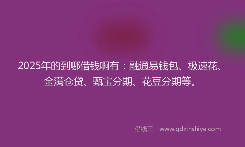 2025年的到哪借钱啊有：融通易钱包、极速花、金满仓贷、甄宝分期、花豆分期等。