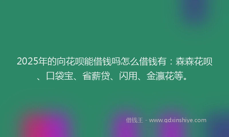 2025年的向花呗能借钱吗怎么借钱有：森森花呗、口袋宝、省薪贷、闪用、金瀛花等。