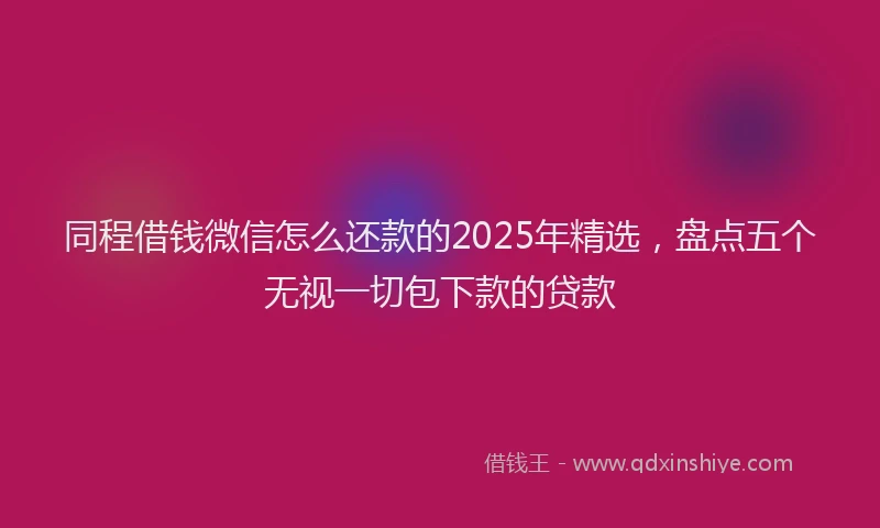 同程借钱微信怎么还款的2025年精选，盘点五个无视一切包下款的贷款
