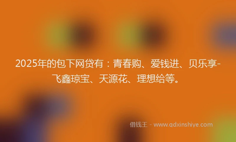 2025年的包下网贷有：青春购、爱钱进、贝乐享-飞鑫琼宝、天源花、理想给等。