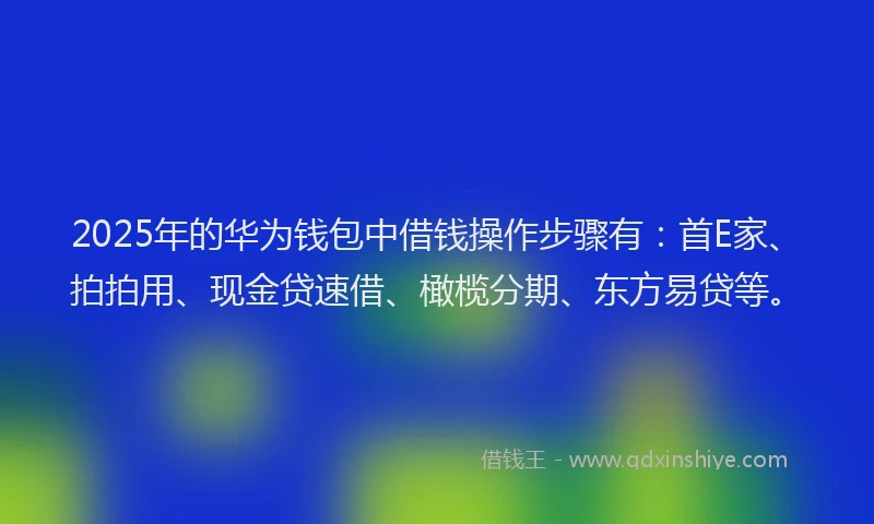 2025年的华为钱包中借钱操作步骤有：首E家、拍拍用、现金贷速借、橄榄分期、东方易贷等。