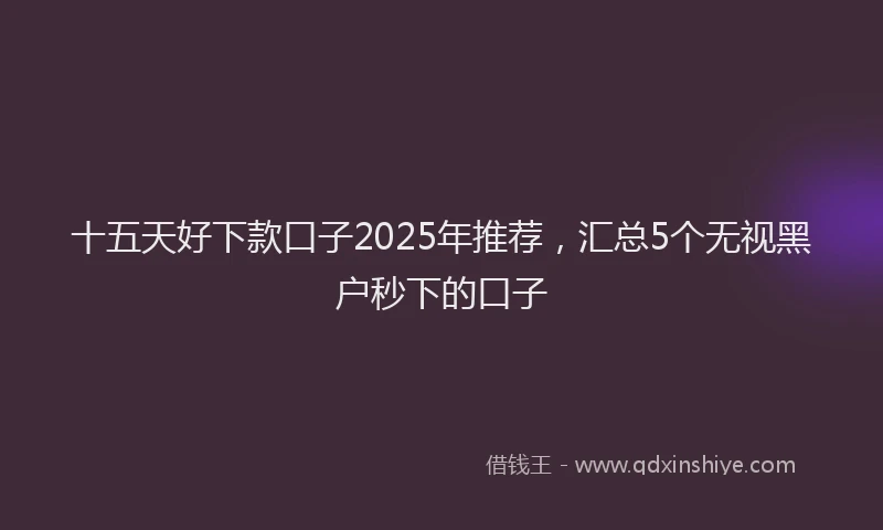 十五天好下款口子2025年推荐，汇总5个无视黑户秒下的口子