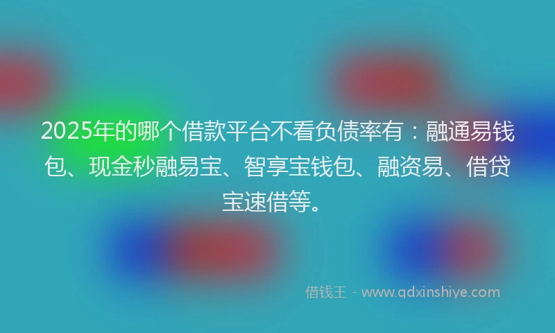 2025年的哪个借款平台不看负债率有：融通易钱包、现金秒融易宝、智享宝钱包、融资易、借贷宝速借等。