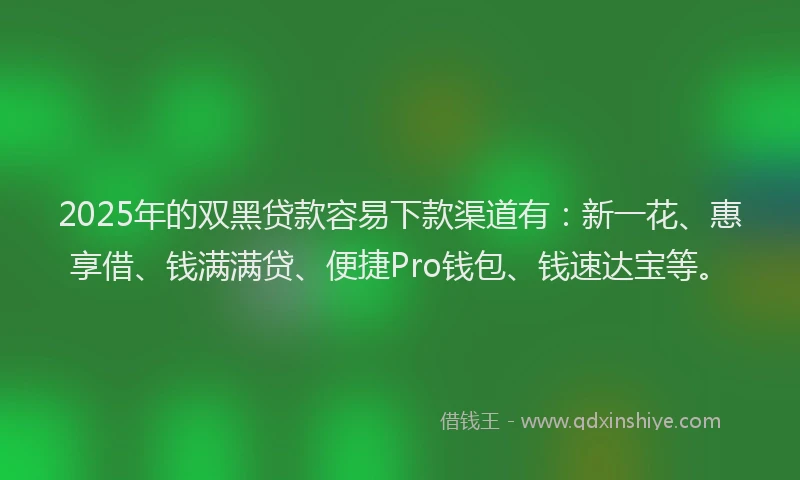 2025年的双黑贷款容易下款渠道有：新一花、惠享借、钱满满贷、便捷Pro钱包、钱速达宝等。