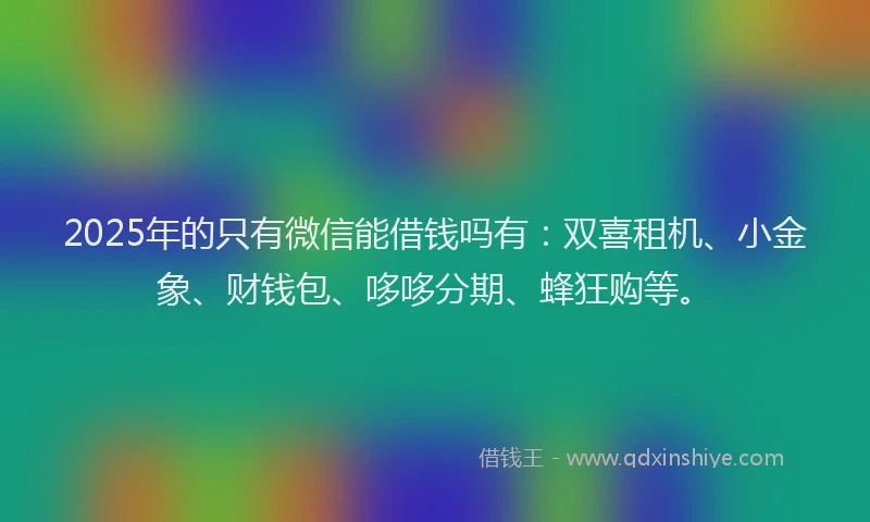 2025年的只有微信能借钱吗有：双喜租机、小金象、财钱包、哆哆分期、蜂狂购等。