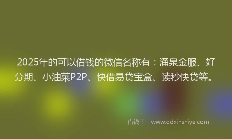 2025年的可以借钱的微信名称有：涌泉金服、好分期、小油菜P2P、快借易贷宝盒、读秒快贷等。