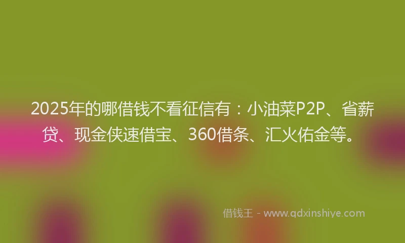 2025年的哪借钱不看征信有：小油菜P2P、省薪贷、现金侠速借宝、360借条、汇火佑金等。