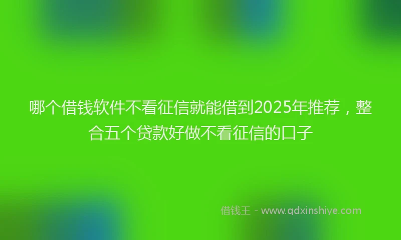 哪个借钱软件不看征信就能借到2025年推荐，整合五个贷款好做不看征信的口子