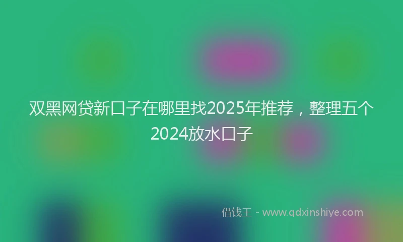 双黑网贷新口子在哪里找2025年推荐，整理五个2024放水口子